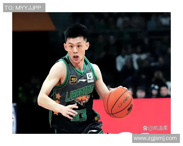 季后赛精彩对决辽宁队与浙江队央视录像回放全程回顾与精彩瞬间分析